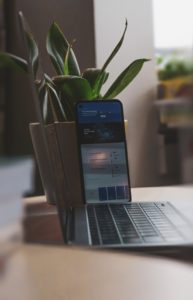 sigmund-65u8D-iNh0M-unsplash