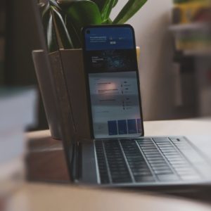 sigmund-65u8D-iNh0M-unsplash